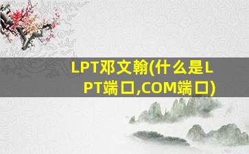 LPT邓文翰(什么是LPT端口,COM端口)