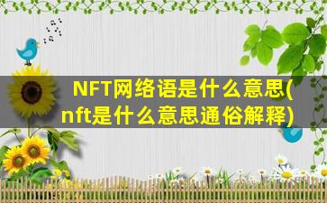 NFT网络语是什么意思(nft是什么意思通俗解释)