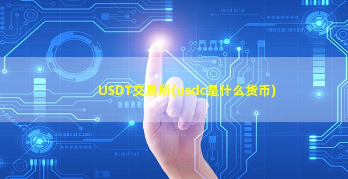 USDT交易所(usdc是什么货币)