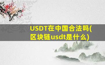 USDT在中国合法吗(区块链usdt是什么)