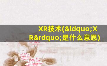 XR技术(“XR”是什么意思)