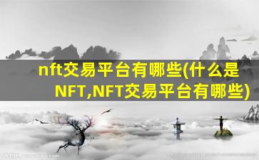 nft交易平台有哪些(什么是NFT,NFT交易平台有哪些)