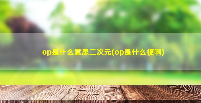 op是什么意思二次元(op是什么梗啊)