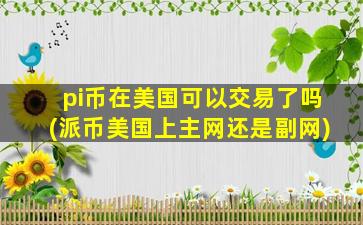 pi币在美国可以交易了吗(派币美国上主网还是副网)