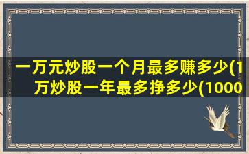 一万元炒股一个月最多赚多少(1万炒股一年最多挣多少(10000正常炒股一个月收益))