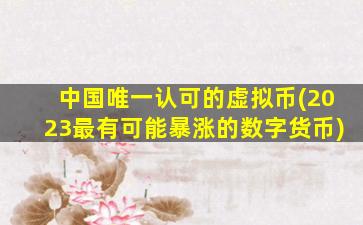 中国唯一认可的虚拟币(2023最有可能暴涨的数字货币)