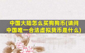 中国大陆怎么买狗狗币(请问中国唯一合法虚拟货币是什么)