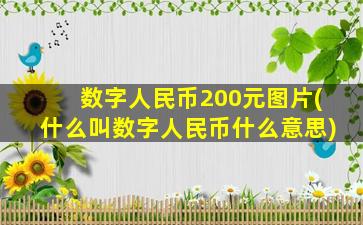 数字人民币200元图片(什么叫数字人民币什么意思)