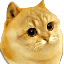 CatgeLOGO