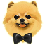 PomiLOGO